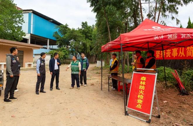 筑牢安全“防火墙”！桥头镇开展重阳节前森林防火专项检查